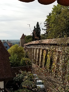20180926_161242 The Wall From The Wall